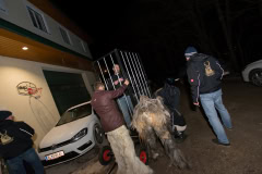Photo by Sascha Fiala