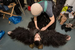 Photo by Sascha Fiala