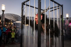 Photo by Sascha Fiala