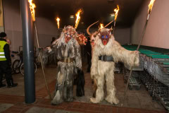 Photo by Sascha Fiala