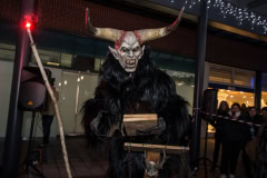 Photo by Sascha Fiala