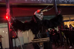 Photo by Sascha Fiala