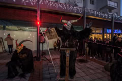 Photo by Sascha Fiala