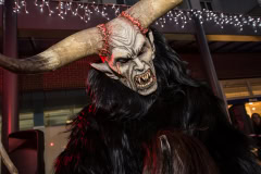 Photo by Sascha Fiala