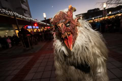 Photo by Sascha Fiala