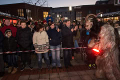 Photo by Sascha Fiala