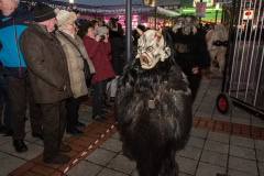 Photo by Sascha Fiala