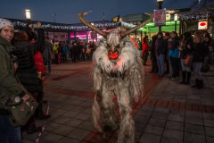 Photo by Sascha Fiala