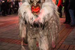 Photo by Sascha Fiala