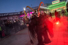 Photo by Sascha Fiala