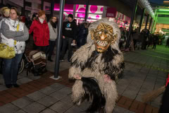 Photo by Sascha Fiala