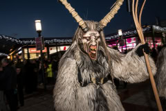 Photo by Sascha Fiala