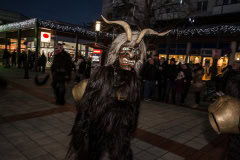 Photo by Sascha Fiala