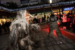 Photo by Sascha Fiala