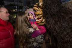 Photo by Sascha Fiala