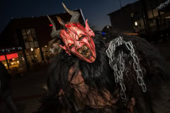 Photo by Sascha Fiala