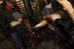 Photo by Sascha Fiala