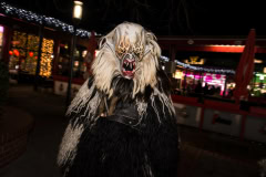 Photo by Sascha Fiala