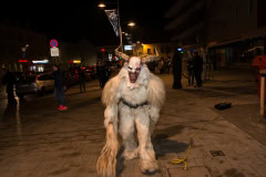 Photo by Sascha Fiala