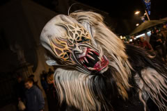 Photo by Sascha Fiala
