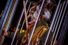 Photo by Sascha Fiala