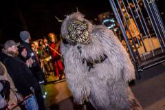 Photo by Sascha Fiala