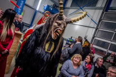 Photo by Sascha Fiala