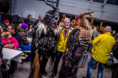 Photo by Sascha Fiala