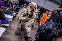 Photo by Sascha Fiala