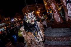 Photo by Sascha Fiala