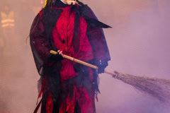 Photo by Sascha Fiala