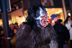 Photo by Sascha Fiala