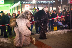 Photo by Sascha Fiala