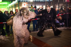 Photo by Sascha Fiala