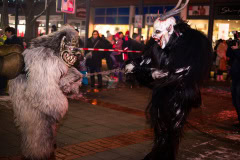 Photo by Sascha Fiala