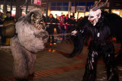 Photo by Sascha Fiala