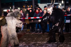 Photo by Sascha Fiala