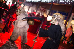 Photo by Sascha Fiala