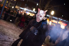 Photo by Sascha Fiala