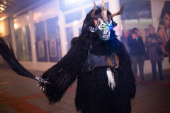 Photo by Sascha Fiala