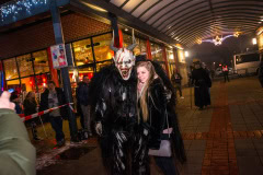 Photo by Sascha Fiala