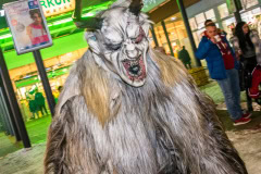 Photo by Sascha Fiala