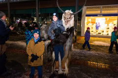 Photo by Sascha Fiala