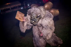 Photo by Sascha Fiala