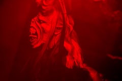 Photo by Sascha Fiala