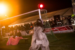 PIC9953