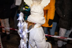 PIC3455