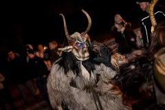 Photo by Sascha Fiala
