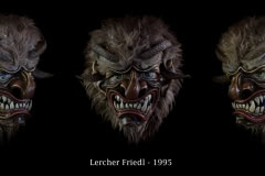 Lercher-Friedl-1995