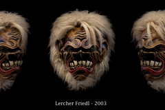 Lercher-Friedl-2003